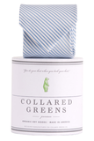 Collared Greens - Signature Series - Carolina Blue Stripe - Ties - The American Gentleman - 1