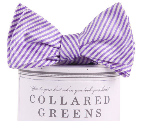 Collared Greens - Signature Series Bow Tie - Purple - Bow Tie - The American Gentleman
