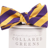 Collared Greens - Tamarack Bow Tie - Purple / Gold - Bow Tie - The American Gentleman - 2